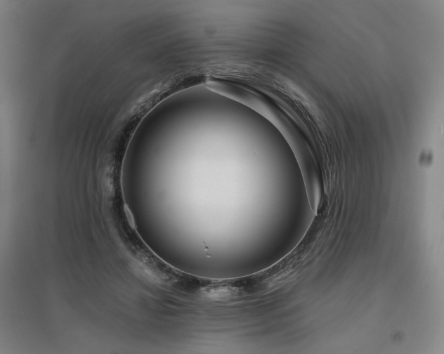 X0000095900452200801111213