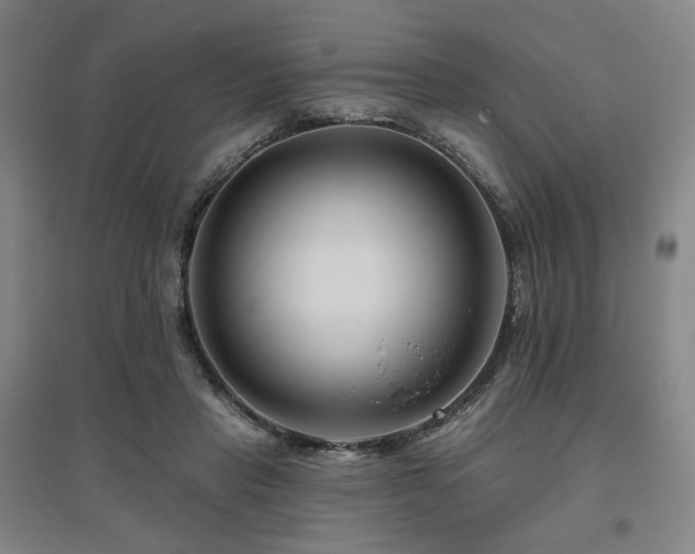 X0000095900453200801111213