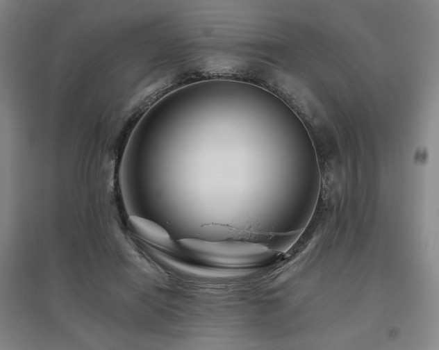 X0000095900454200801111213