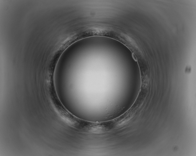 X0000095900456200801111213