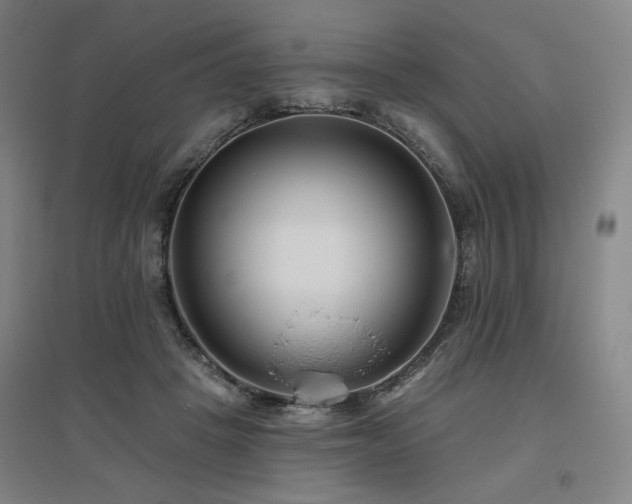X0000095900457200801111213