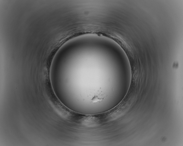 X0000095900459200801111213