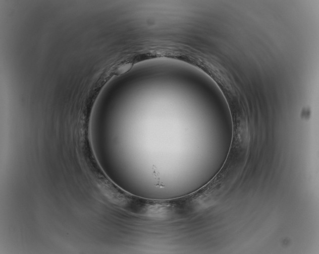 X0000095900461200801111213