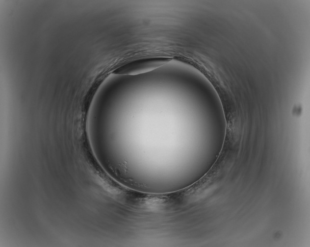 X0000095900462200801111213