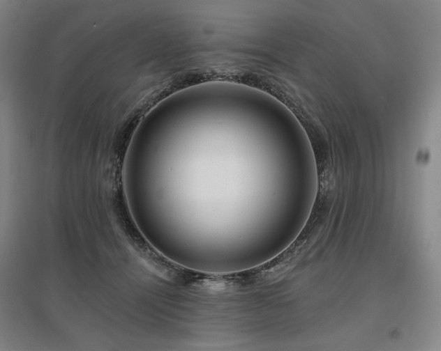 X0000095900464200801111213