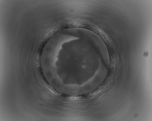 X0000095900465200801111213