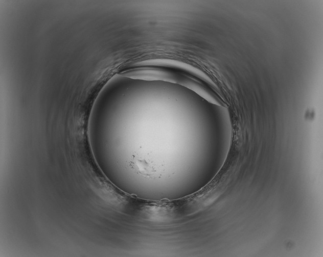 X0000095900466200801111213