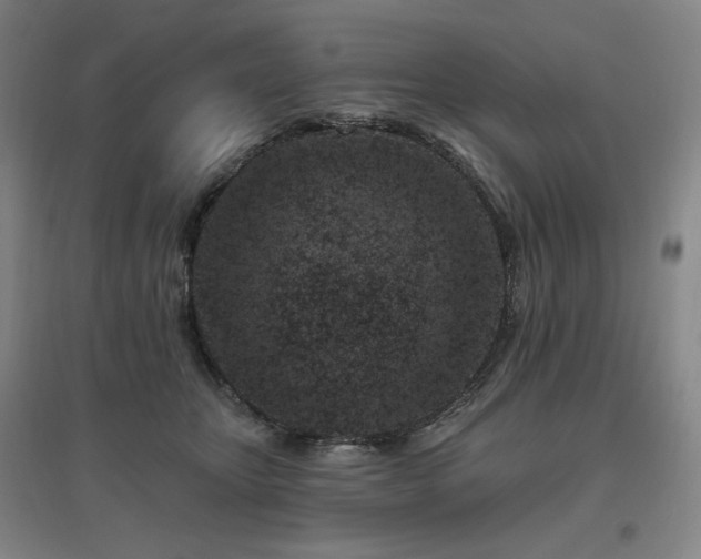 X0000095900467200801111213