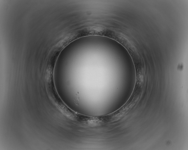 X0000095900468200801111213