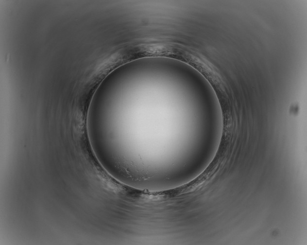 X0000095900469200801111214