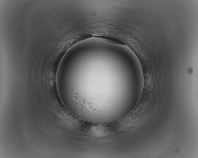 X0000095900470200801111214