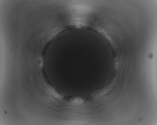 X0000095900471200801111214