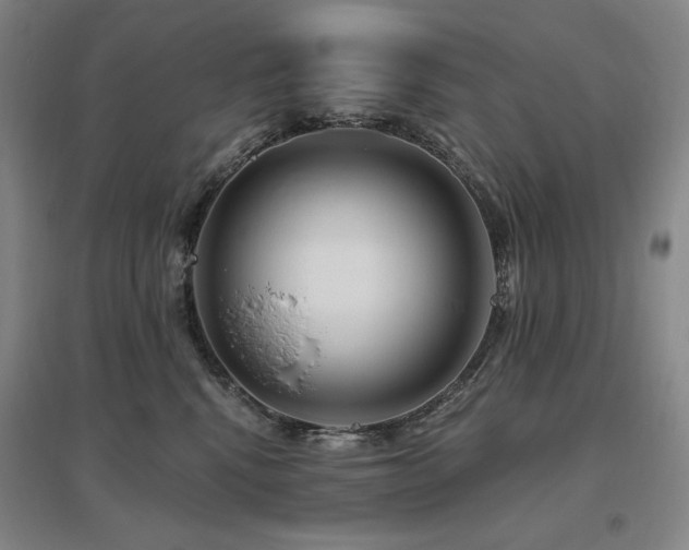 X0000095900472200801111214