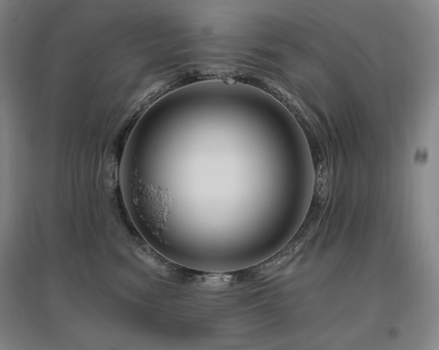 X0000095900474200801111214