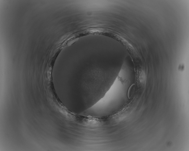 X0000095900475200801111214
