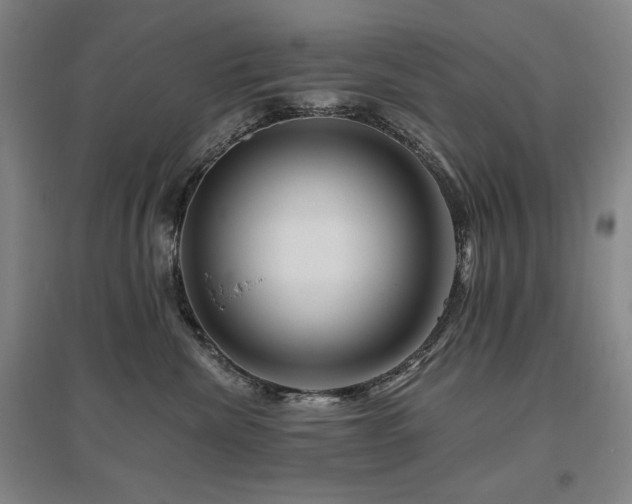 X0000095900476200801111214