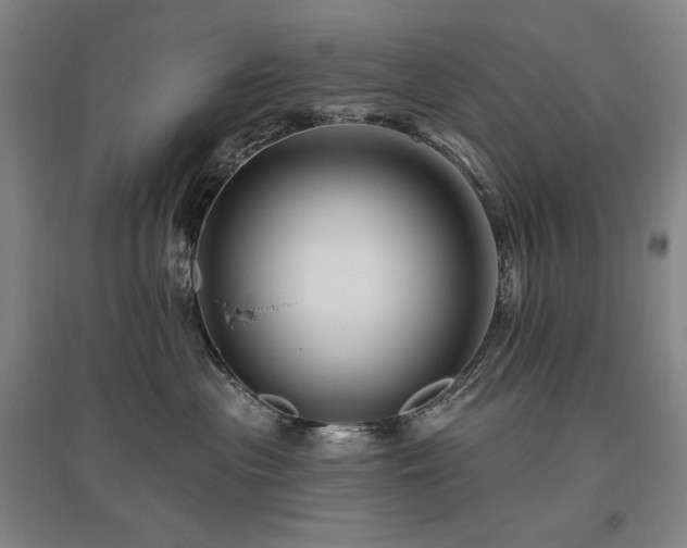 X0000095900477200801111214
