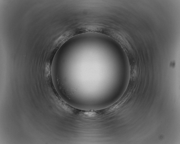 X0000095900478200801111214