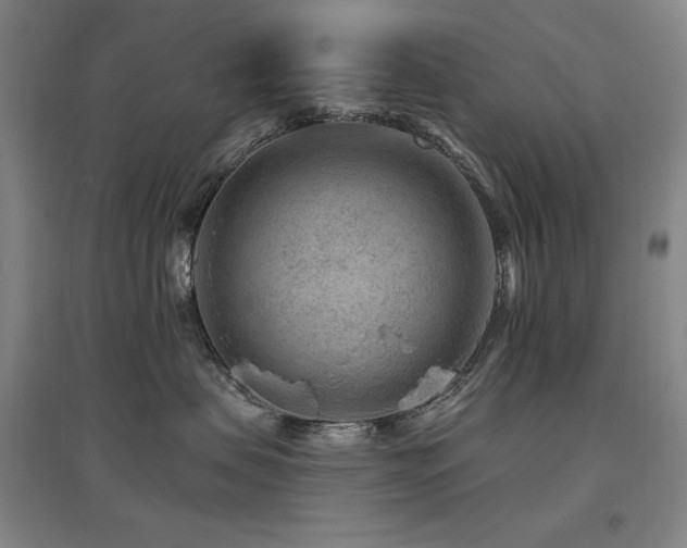 X0000095900479200801111214