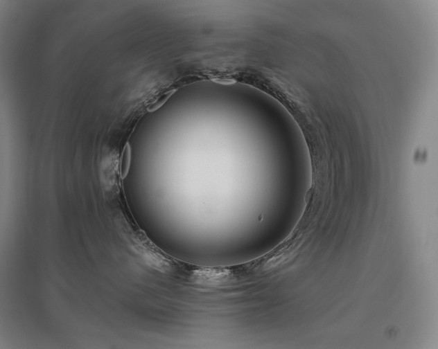 X0000095900480200801111214
