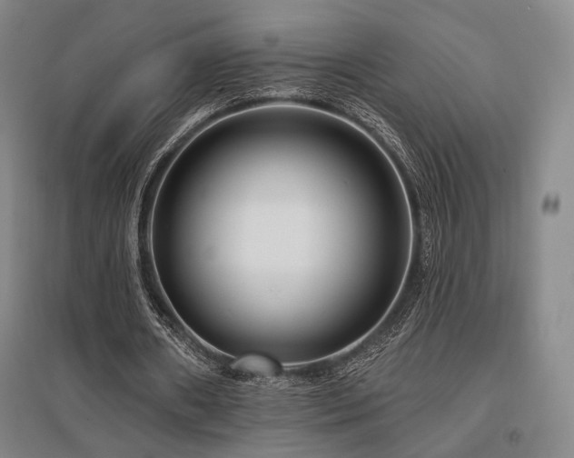 X0000095900482200801111213
