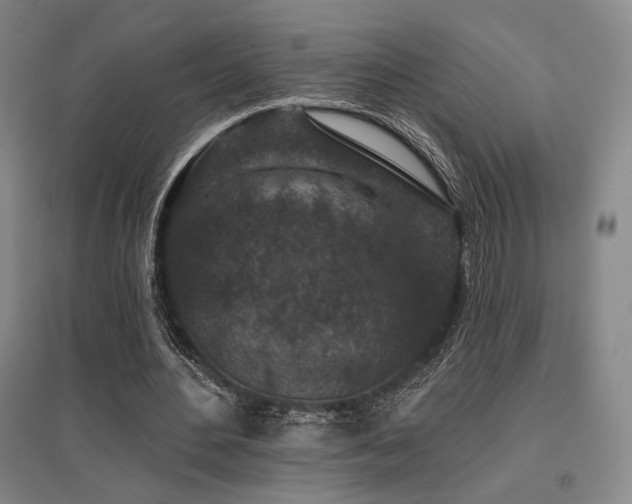 X0000095900484200801111213