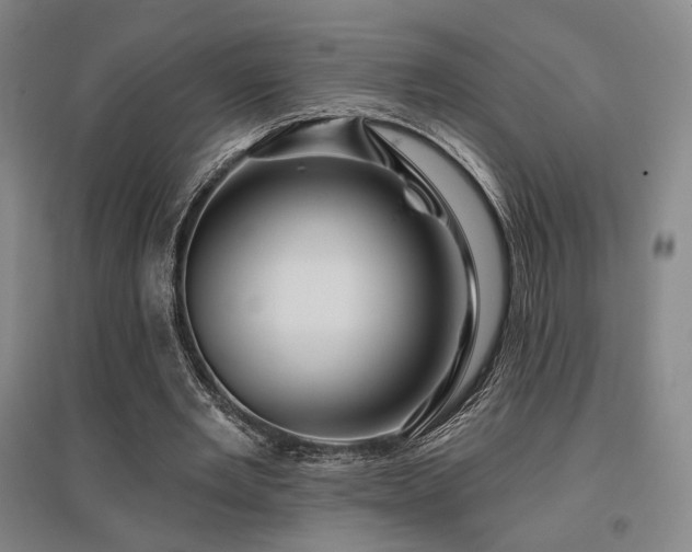 X0000095900485200801111213