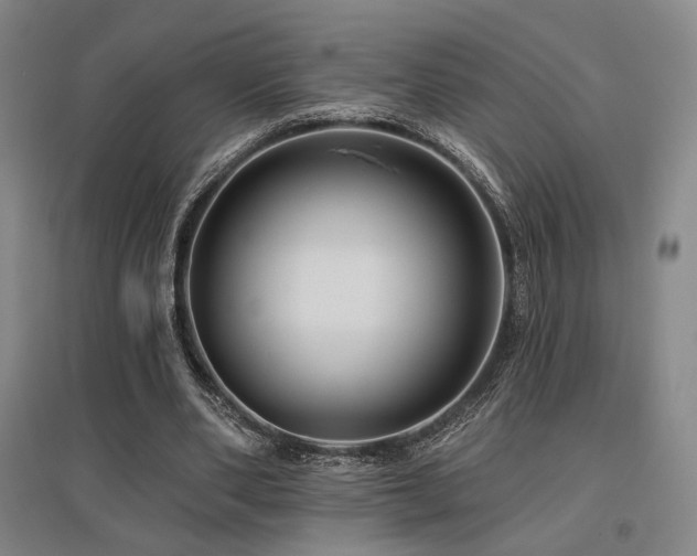 X0000095900486200801111213