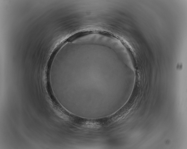 X0000095900487200801111213