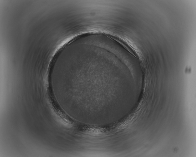 X0000095900488200801111213