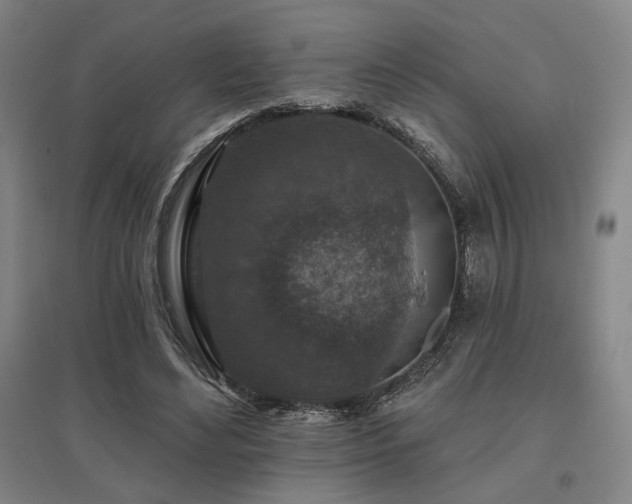 X0000095900492200801111213