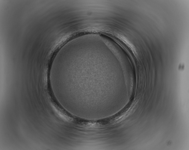 X0000095900493200801111213