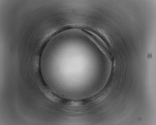 X0000095900495200801111213