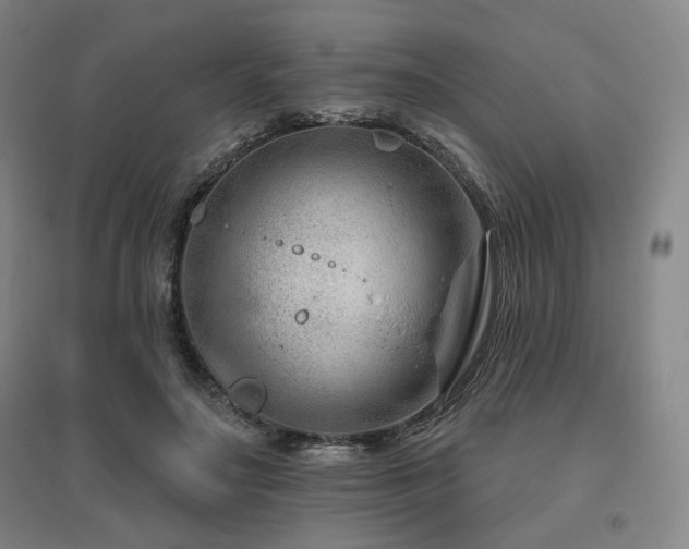 X0000095900499200801111213