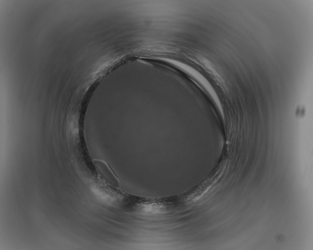 X0000095900500200801111213