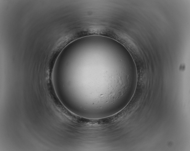 X0000095900502200801111213