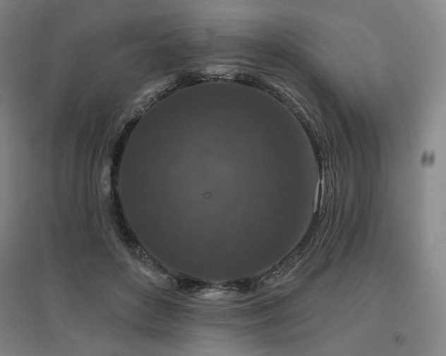 X0000095900504200801111213