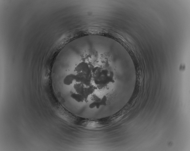 X0000095900507200801111213