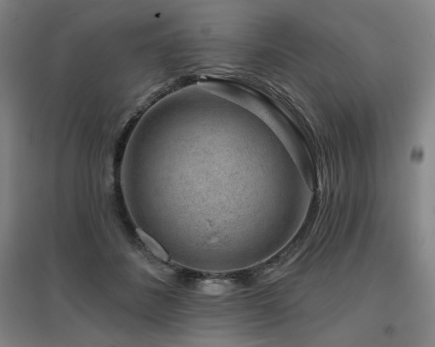 X0000095900508200801111213