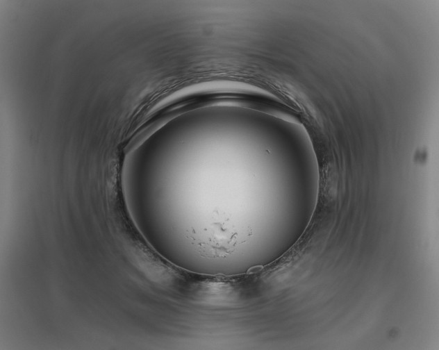 X0000095900509200801111213