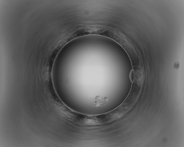 X0000095900510200801111213