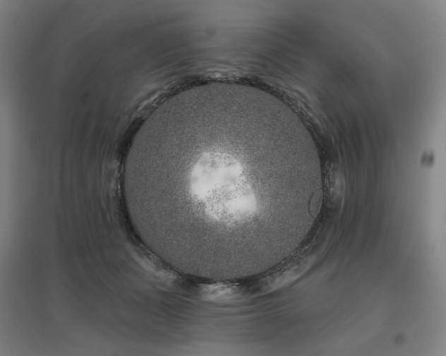 X0000095900511200801111213