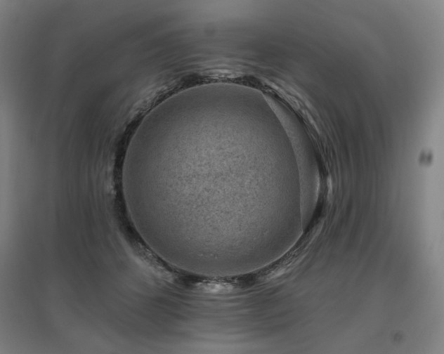 X0000095900512200801111213