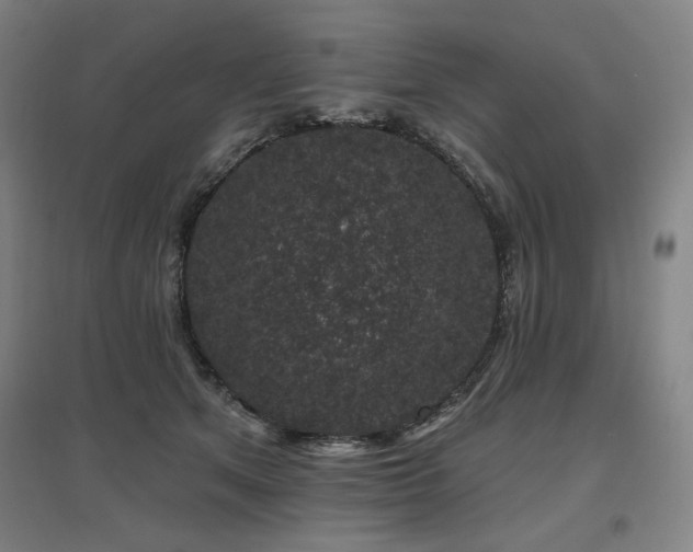 X0000095900513200801111213