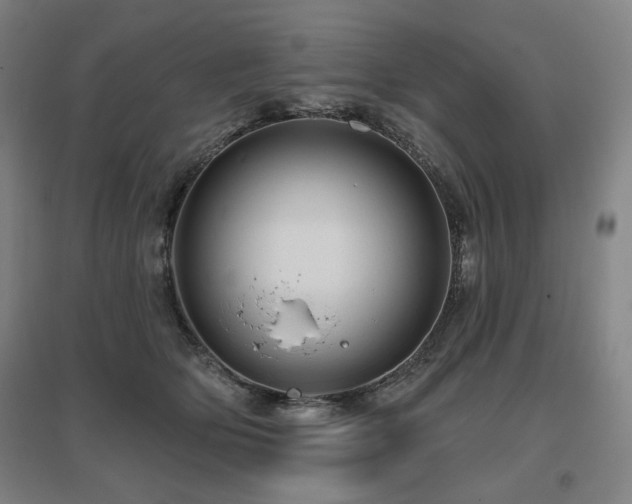 X0000095900514200801111213
