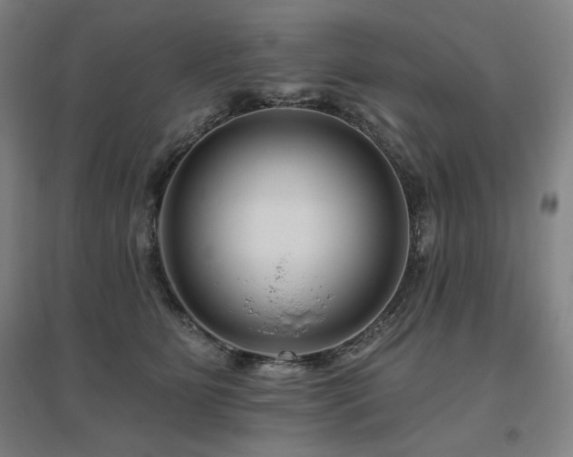 X0000095900515200801111213
