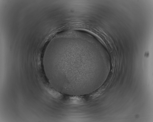 X0000095900516200801111213