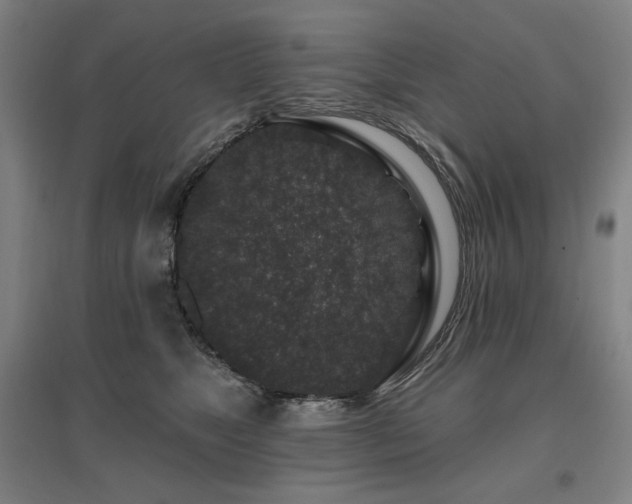X0000095900517200801111213