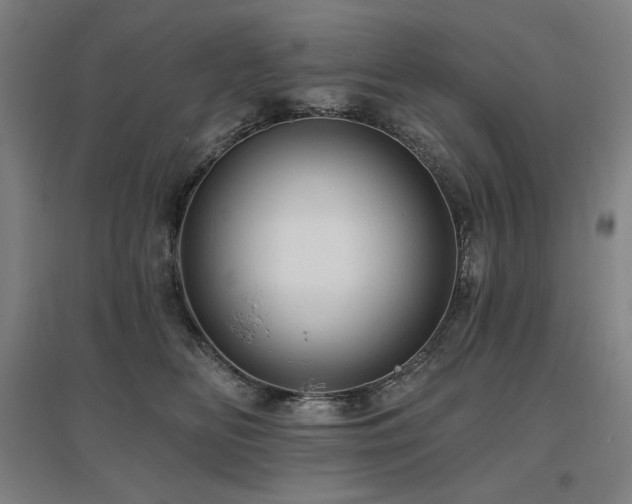X0000095900518200801111212