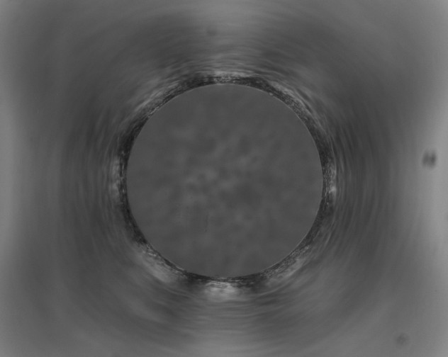 X0000095900519200801111212
